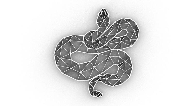 snake GEOMETRIC