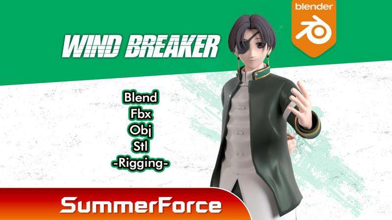 Hayato Suo - WIND BREAKER