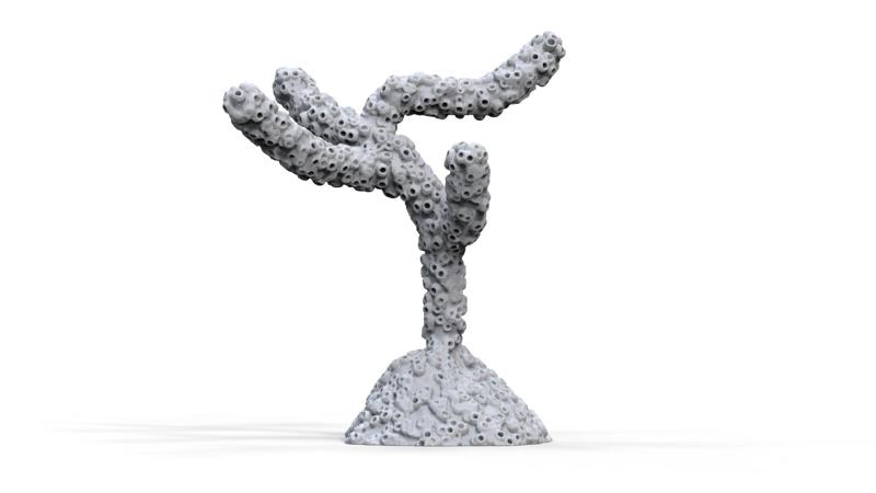 Coral Decorative V2 / Corail Decorative V2