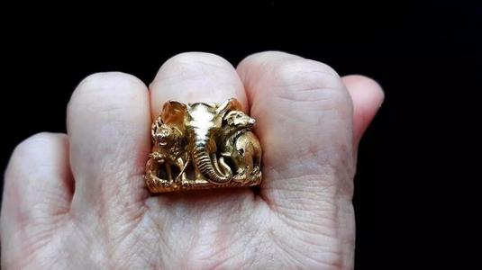 Big five animal ring