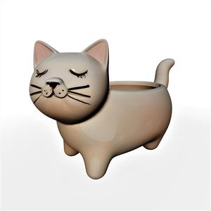 cat palnter
