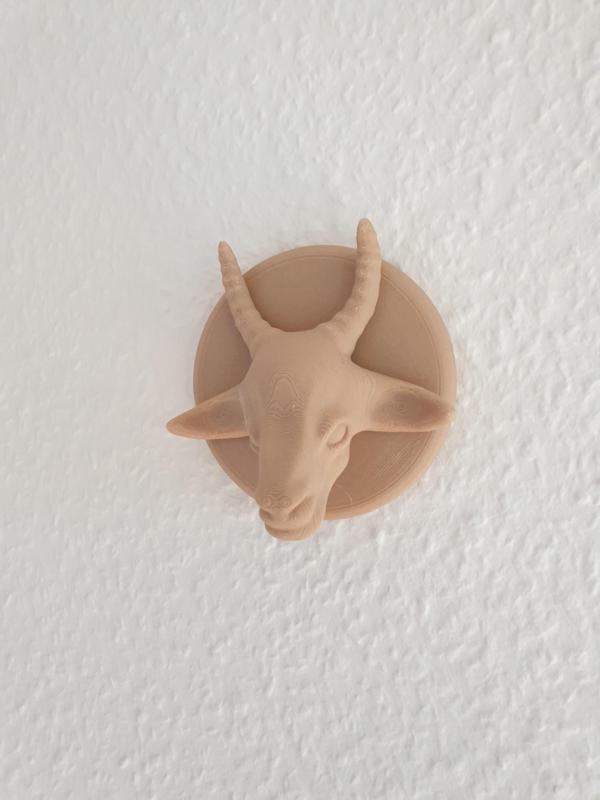 Goat head with holder for decoration of walls