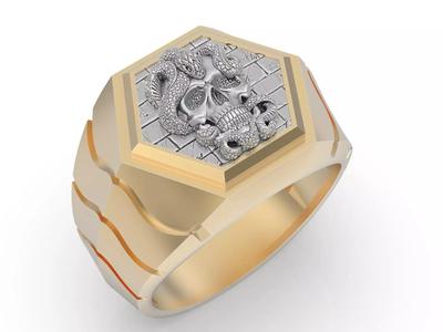 Skull and snake Ring Silver Gold  Print