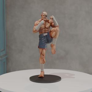 Sagat