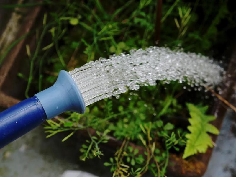 Focused heavy rainfall spout   