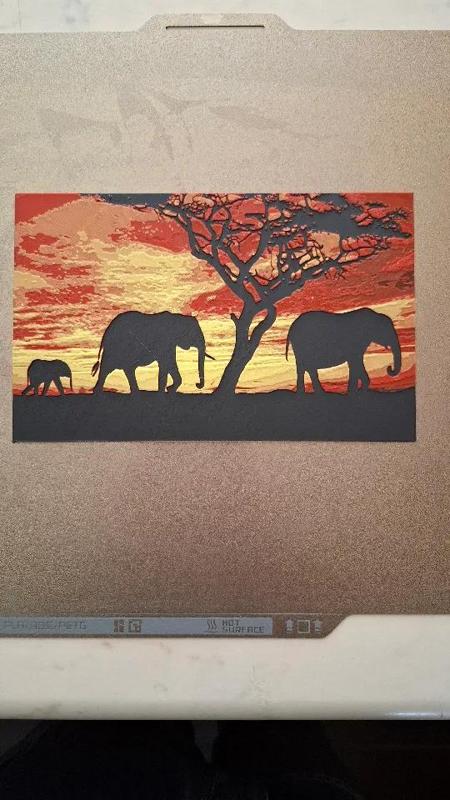elephant in sunset   