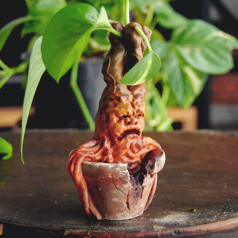 Mandrake Plant - Harry Potter