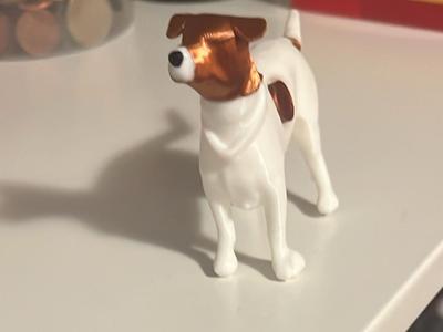 Jack Russel Terrier