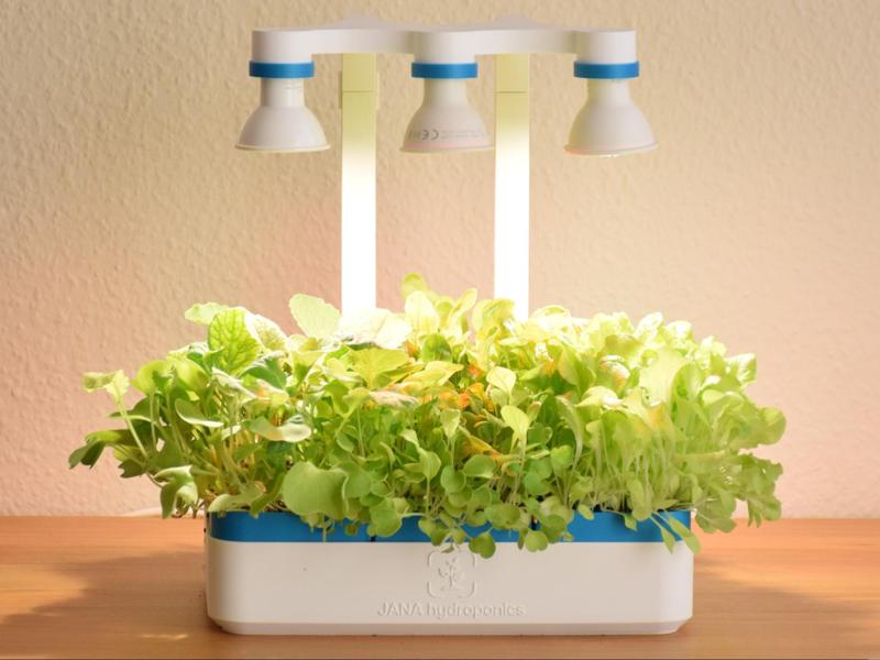 Growbox Jana - self watering + lights
