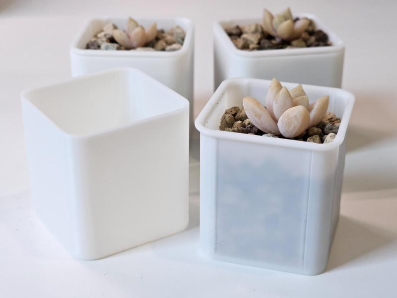 Mini Plant Pot and Cover for Propagations