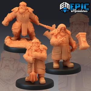 Nordic Dwarf Set / Armored Cleric Warrior Guard Collection