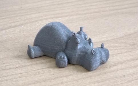 Cute Hippo