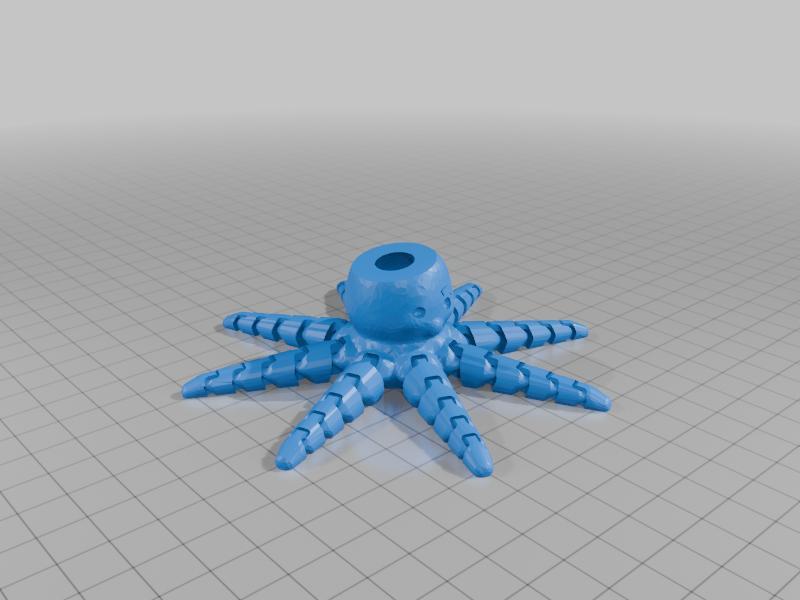 Octopus with Seperate Hat