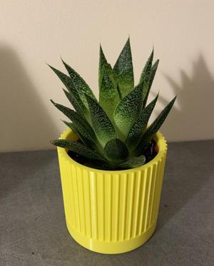 Flower Pot - Plant Pot