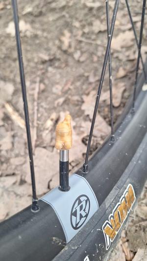 AmongUs on presta valve cup