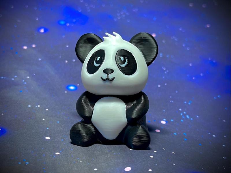 "Pandy" The Baby Panda