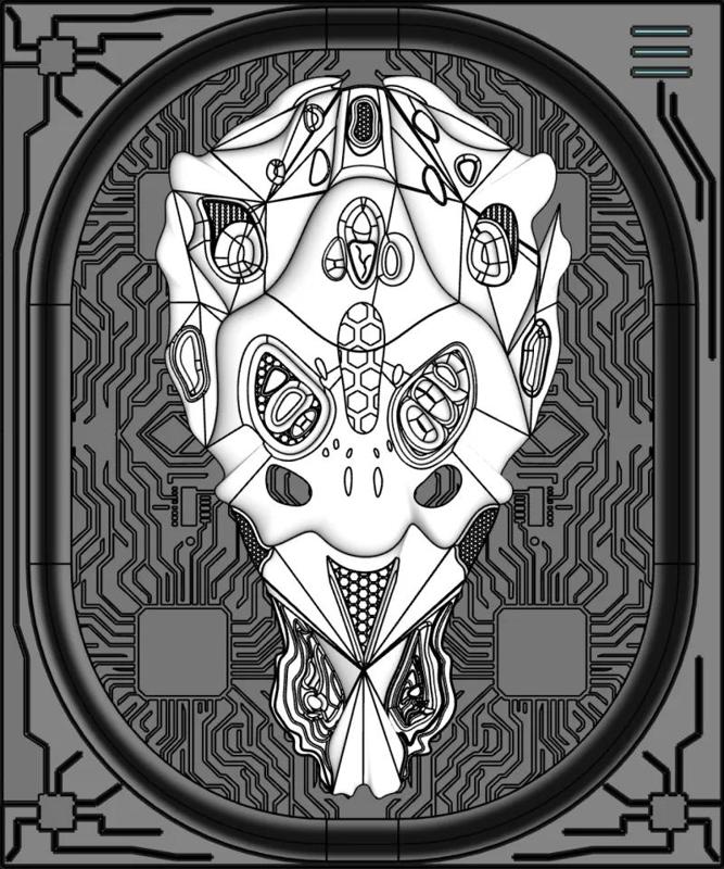 Kura Curiosa — Specimen 017   