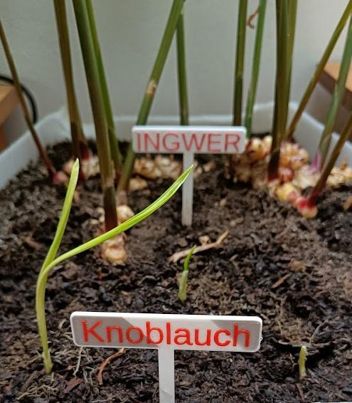 Plant Signs