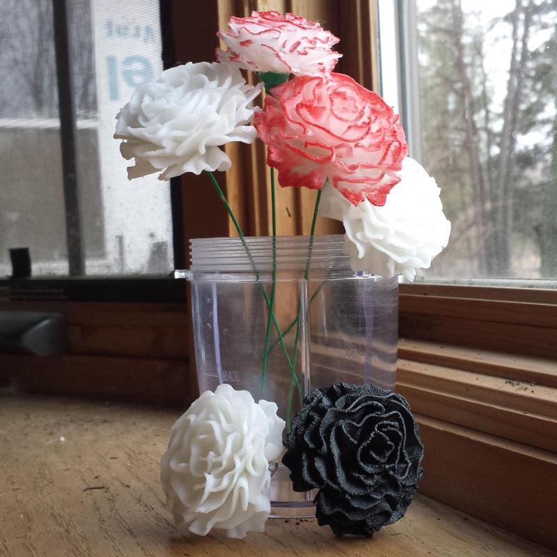 Carnation Flower Blossom Top