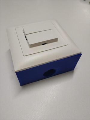 Plug socket case for wall mount