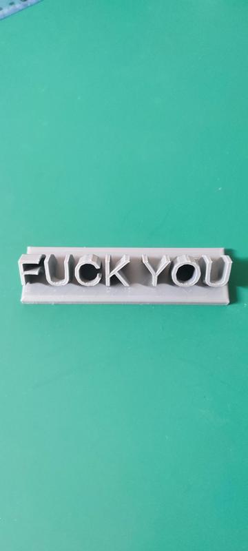 Fuck you sign