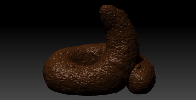 POOP - SHIT- POOP