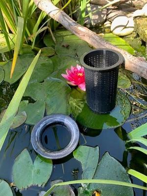 Floating fish pond skimmer 