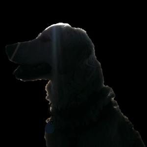 Luna candle