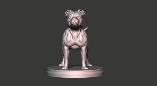 American Pitbull Terrier with Ears