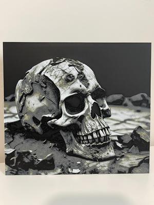 Battered and Fractured Skull - HueForge