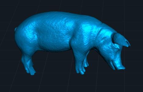 Pig