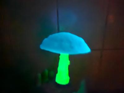 Glowing Mushroom