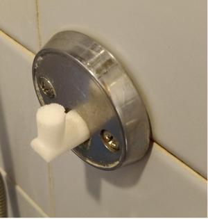 Shower Holder