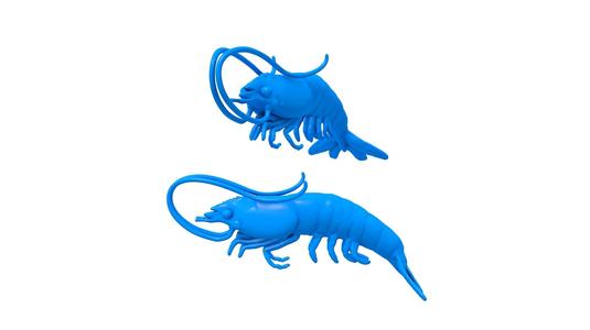 Shrimp Stl / Prawn / Prawn stl / CRAYFISH / PRAWN / LOBSTER / Shrimp