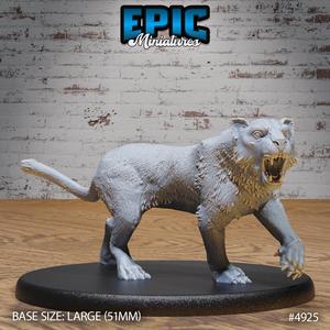 Tiger Angry ‧ DnD Miniature ‧ Tabletop Miniatures ‧ Gaming Monster ‧ 3D Model ‧ RPG ‧ DnDminis ‧ STL FILE
