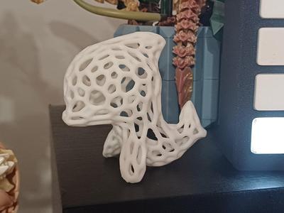 Voronoi Dolphin