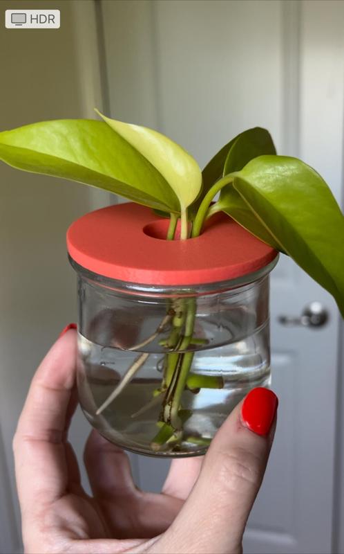 Oui Jar Plant Propagation Lid