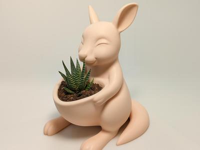 Kangaroo Pouch Plant Holder