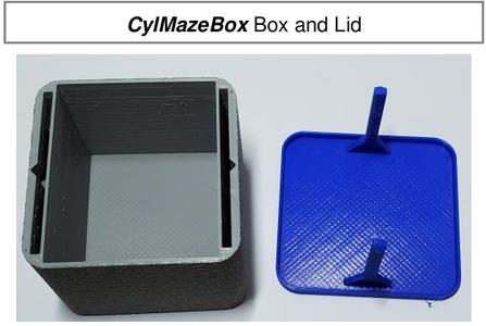 Box With Wall Maze