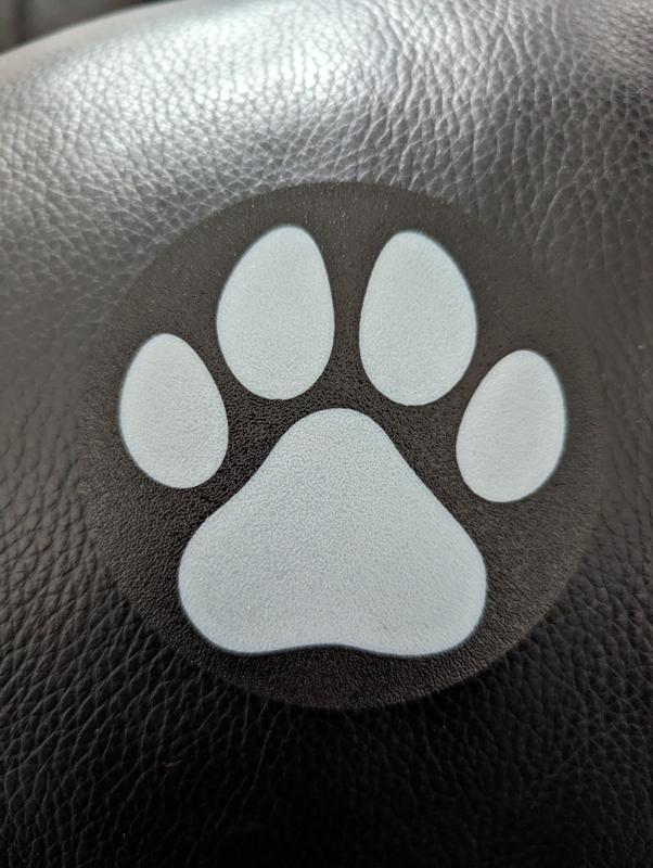 Paw Print Coaster