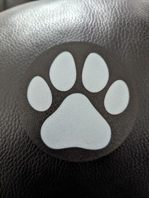 Paw Print Coaster