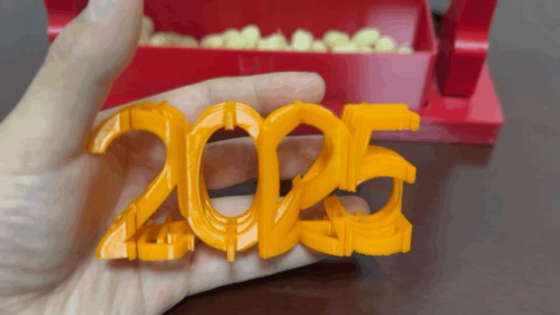 2025 (Serpentine Year's Blessings) Multifaceted Three-Dimensional Font Visual Font 12cm Long
