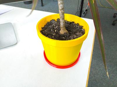 Parametric Plant Pot + Coaster