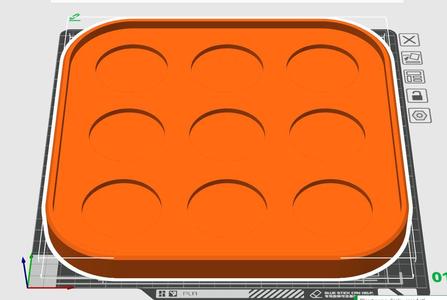 Demerit Badge display case