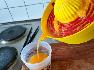 Orange Juicer - 3 Sizes (420ml, 590ml, 740ml)