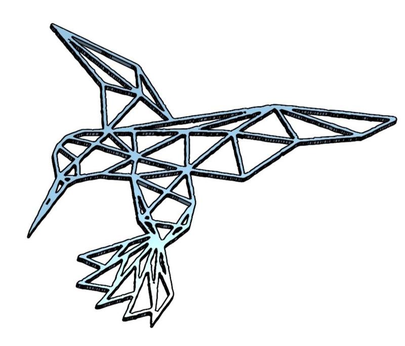Colibri geometrico