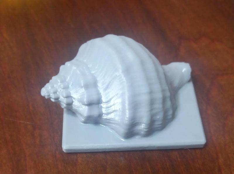 SEA SNAIL / SEA SNAIL