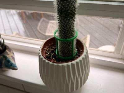 Cactus Support Stake