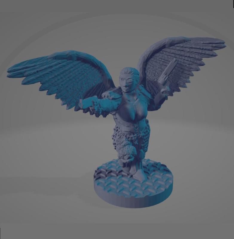 Space Pirate Valkyrie