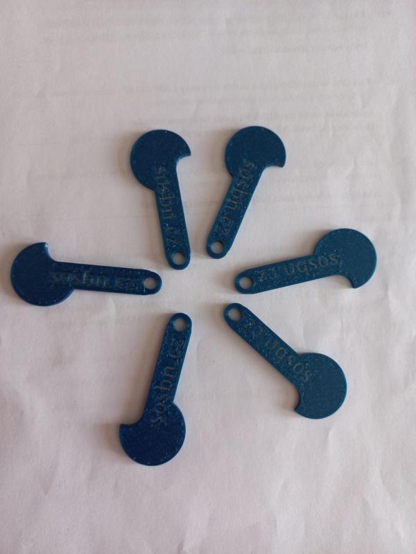 Klíčenka - žeton do košíku